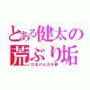 とある健太の荒ぶり垢（びるけんガチ勢）