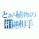 とある植物の相談相手（アロエリィナ）