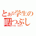 とある学生の暇つぶし（ＴＨＥ ＮＥＥＴ）