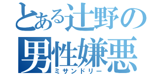 とある辻野の男性嫌悪（ミサンドリー）