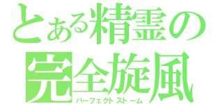 とある精霊の完全旋風（パーフェクトストーム）