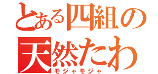 とある四組の天然たわし（モジャモジャ）