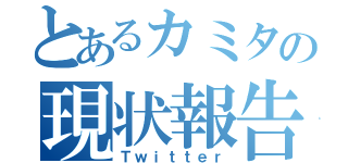 とあるカミタの現状報告（Ｔｗｉｔｔｅｒ）