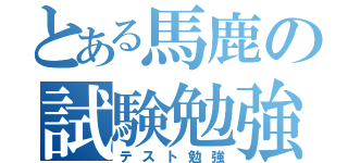 とある馬鹿の試験勉強（テスト勉強）