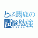 とある馬鹿の試験勉強（テスト勉強）