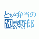 とある弁当の観察野郎（大菊かたな）