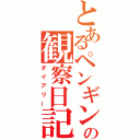 とあるペンギンの観察日記（ダイアリー）