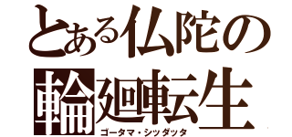 とある仏陀の輪廻転生（ゴータマ・シッダッタ）