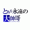 とある永遠の大帥哥（インデックス）