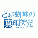 とある蜘蛛の真理探究（（∵）＜あぁ、らい、ち）