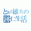 とある雄犬の跡仁生活（）