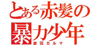 とある赤髪の暴力少年（赤羽カルマ）