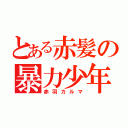 とある赤髪の暴力少年（赤羽カルマ）