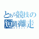 とある競技の短距離走（スプリント）