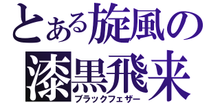 とある旋風の漆黒飛来（ブラックフェザー）