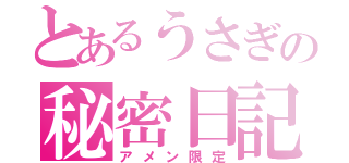 とあるうさぎの秘密日記（アメン限定）