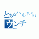 とあるハルちゃんのウンチ（親友だでーーーーーーーーー）