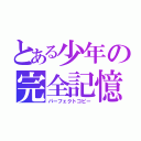 とある少年の完全記憶（パーフェクトコピー）