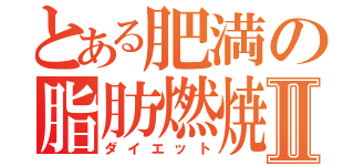 とある肥満の脂肪燃焼Ⅱ（ダイエット）