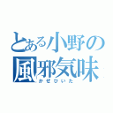 とある小野の風邪気味（かぜひいた）