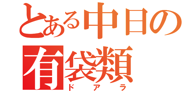 とある中日の有袋類（ドアラ）