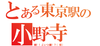 とある東京駅の小野寺（前！！こいつ誰！？（怒））