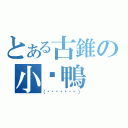 とある古錐の小媲鴨（（́◕◞౪◟◕‵））