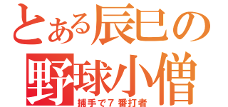 とある辰巳の野球小僧（￣＾￣）（捕手で７番打者）