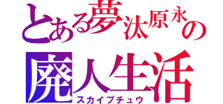 とある夢汰原永音の廃人生活（スカイプチュウ）