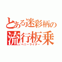 とある迷彩柄の流行板乗り（ペニーライダー）