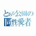 とある公園の同性愛者（ガチホモ）