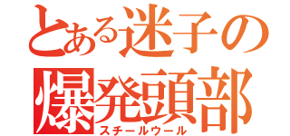 とある迷子の爆発頭部（スチールウール）