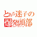 とある迷子の爆発頭部（スチールウール）