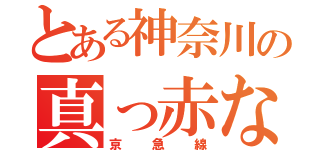 とある神奈川の真っ赤な電車（京急線）