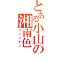 とある小山の湘南色（パンプキン）