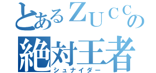 とあるＺＵＣＣの絶対王者（シュナイダー）