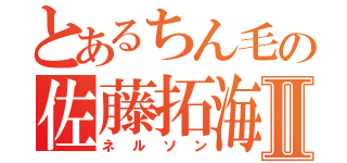 とあるちん毛の佐藤拓海Ⅱ（ネルソン）