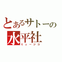 とあるサトーの水平社（ミュージコ）