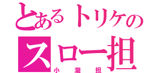 とあるトリケのスロー担（小瀧担）