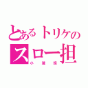 とあるトリケのスロー担（小瀧担）