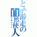 とある游走の自然使人（木蓮の下で）