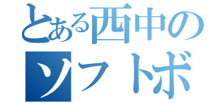 とある西中のソフトボール部（）