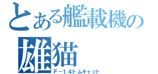 とある艦載機の雄猫（Ｆ－１４トムキャット）