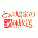 とある鳩家の過疎放送（ハト━（゜　∞゜）━！！ ）