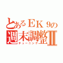 とあるＥＫ９の週末調整Ⅱ（チューニング）