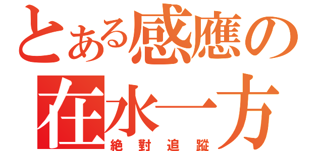 とある感應の在水一方（絶對追蹤）