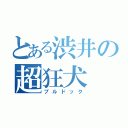 とある渋井の超狂犬（ブルドック）