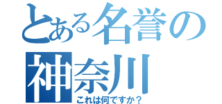 とある名誉の神奈川（これは何ですか？）