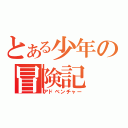 とある少年の冒険記（アドベンチャー）