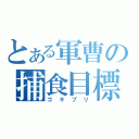 とある軍曹の捕食目標（ゴキブリ）